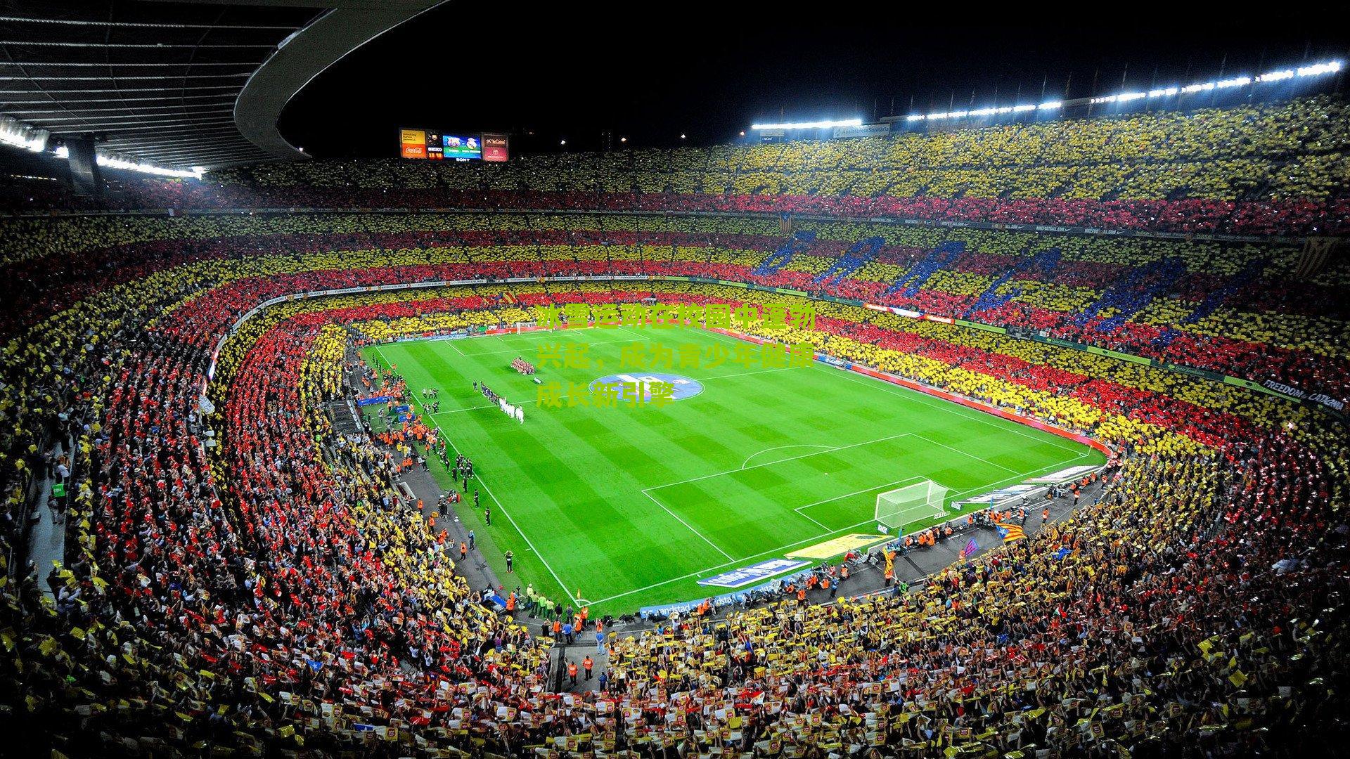 冰雪运动在校园中蓬勃兴起,成为青少年健康成长新引擎