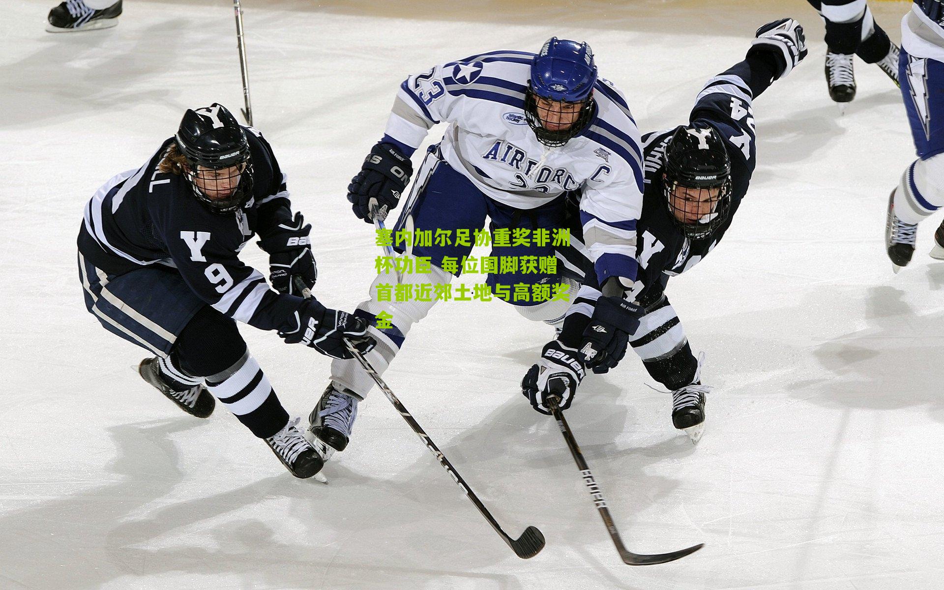 塞内加尔足协重奖非洲杯功臣 每位国脚获赠首都近郊土地与高额奖金