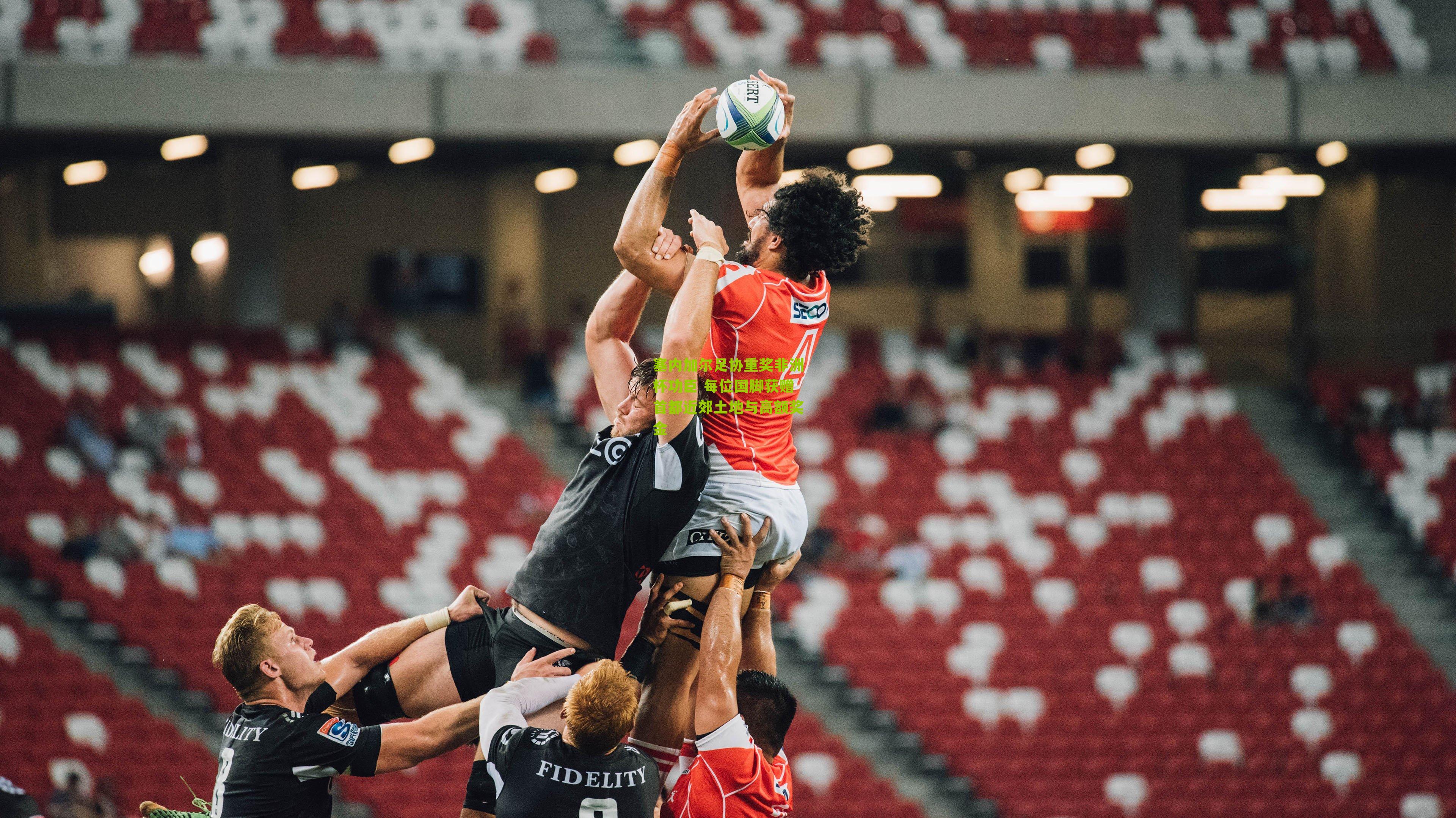 塞内加尔足协重奖非洲杯功臣 每位国脚获赠首都近郊土地与高额奖金